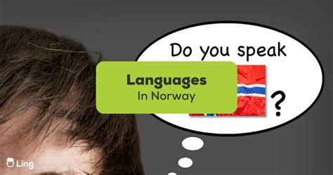 3 Languages In Norway An Easy Guide For Beginners Ling App
