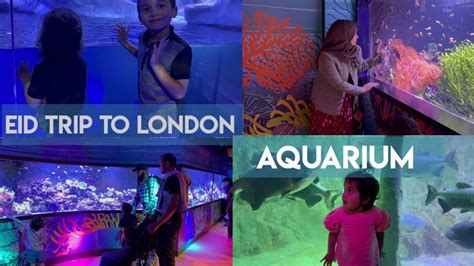 Sea Life London Aquarium Tour Part 2 Youtube