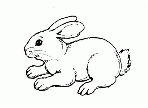 Woodland Animal Coloring Page Coloring Home