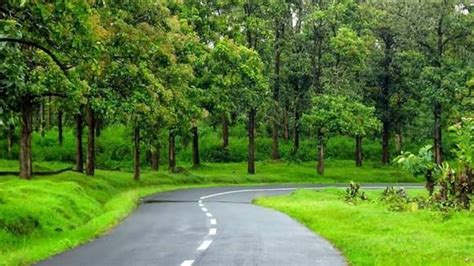 Wayanad Kerala Country Roads Road Green Mountain
