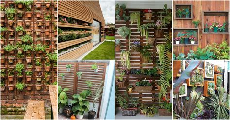 15 Superb Wall Gardens To Enhance Your Yard