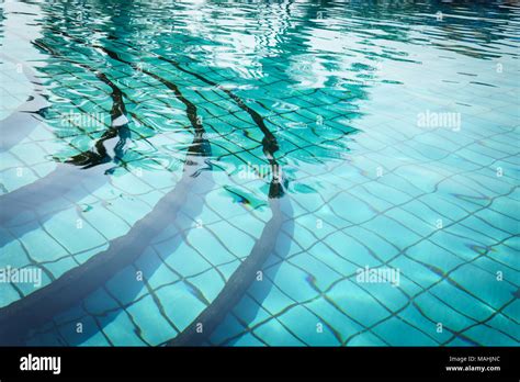 Reflection Palm Trees In Swimming Pool Stock Photo Alamy