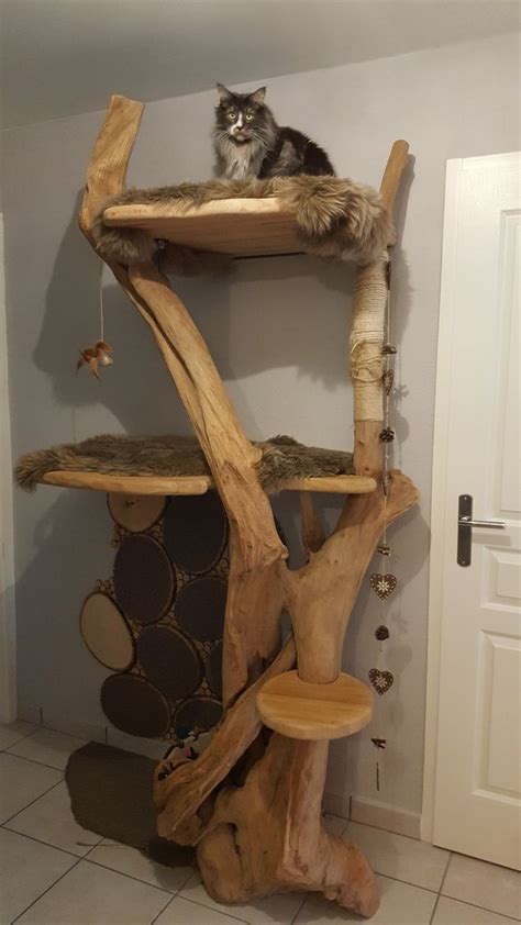 Cat Tree Discover Your Desire Act Swiftly Or You Might Lose It