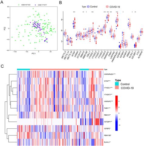 M A Related Gene Expression Levels A Pca Showed Elimination Of Batch