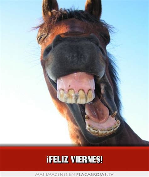 ¡feliz Viernes Placas Rojas Tv