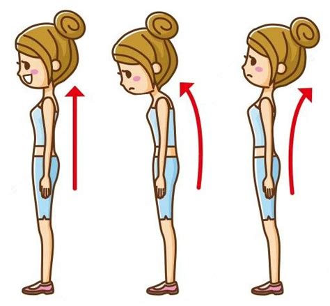 Posture Bad Posture Poor Posture Weight Workout Plan Posture