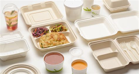 Environmentally friendly and reusable food packaging. Eco-Friendly package Green Century | Solpak