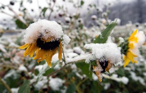 Record Early Snowfall Up To 8 Inches Reported In South Dakota