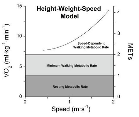 Although the typical amount of calories burned walking is about 340 calories for a one hour stroll, there are other benefits to walking. How Height Affects Calorie Burning | Runner's World