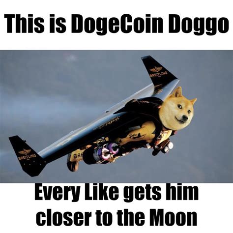 It came as dogecoin continued to fall after the technology billionaire said on television that it was a hustle. These Dogecoin Memes Are Going Straight To The Moon - Dodgecoin | Memes
