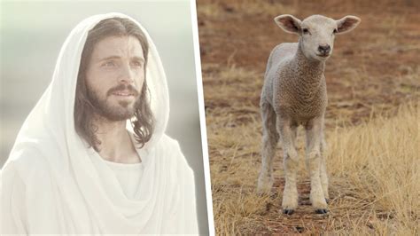 Jesus Christ The Passover Lamb Youtube