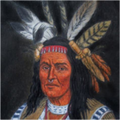 Savage Truths Native American Eloquence In The Ohio And Erie Lands