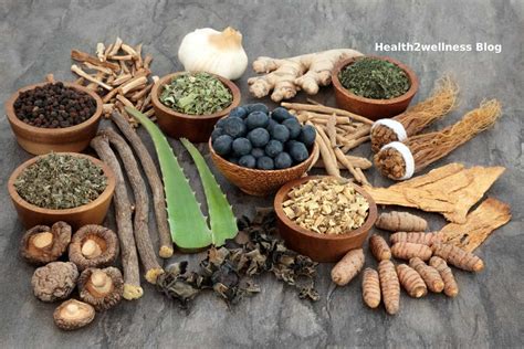 Top Benefits Of Using Herbal Medicines Health Wellness