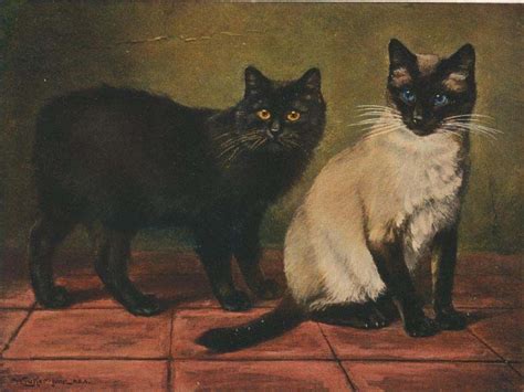 William Luker Jr Balinese Cat Siamese Cats Cats