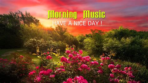 Good Morning Music Boost Positive Energy 🌞 Peaceful Morning