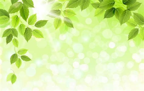 Refreshing Green Leaves Background Vector 03 Converted Zootah