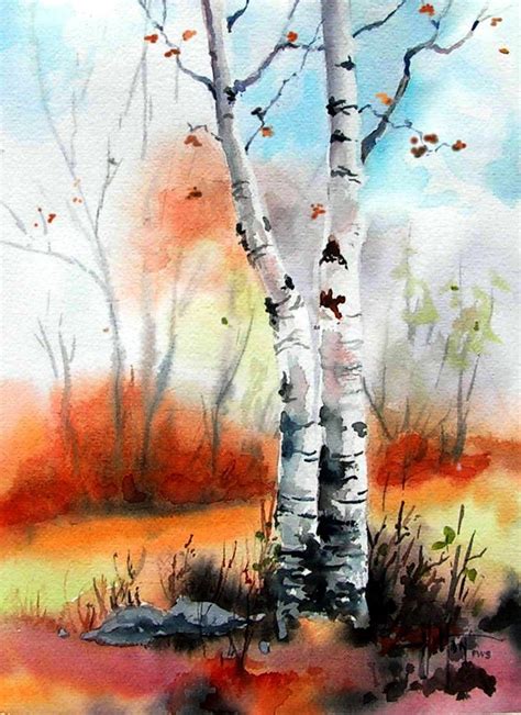 The White Birches Stand Out Against The Warm Autumn Colors In This