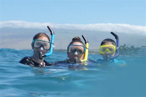 Snorkeling On The Big Island Of Hawaii Best Spots For Families And Kids