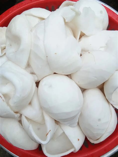 Coconut Meat In Chunkpeeled Young Coconut Meatcoconut Meat Dices