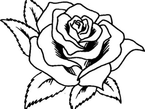 Rosas Para Pintar Colorear E Imprimir