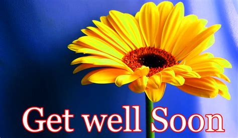 Get Well Soon Wallpapers Top Free Get Well Soon Backgrounds