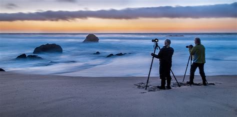 Frans Lanting Studio Photography Workshops With Frans Lanting