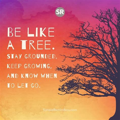 A Tree With The Words Be Like A Tree Stay Grounded Keep Growing And