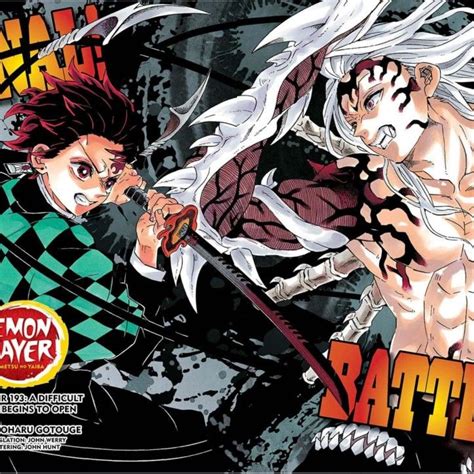 Final Showdown Kamado Tanjiro Vs Kibutsuji Muzan In 2020 Manga Anime