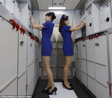 Japanese Airline Skymark S New Stewardess Uniform Invitation To Sexual Harassment Daily Mail