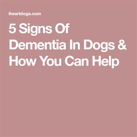6 Signs Of Dementia In Dogs & How You Can Help | Signs of dementia ...