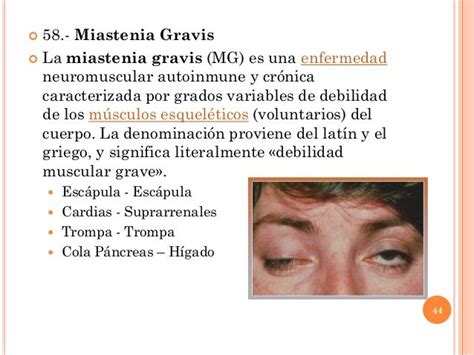 La miastenia grave ocular afecta sólo a los músculos extraoculares. Pin on Par biomagnetico Biomagnetic Magnetismo Imanes Magnetism Magnets