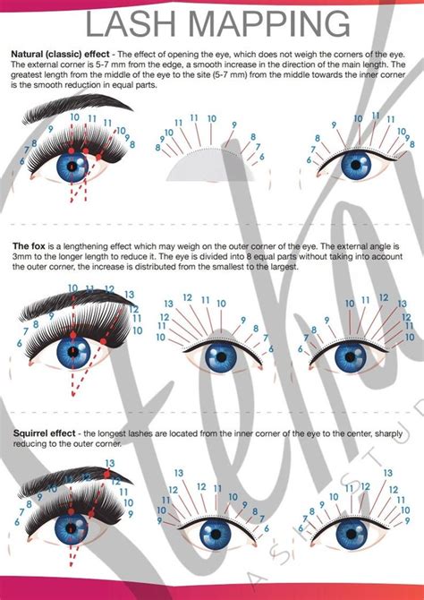 Lash Map Sheets Directions Printable Lash Mapping Eyelash