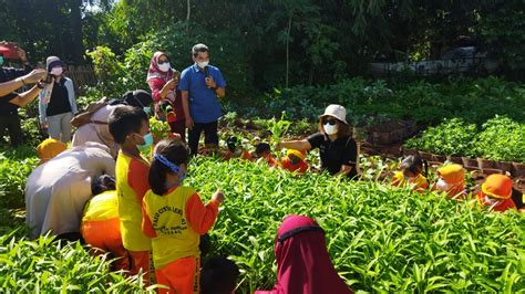 Kampung Mantul Binaan Sinar Mas Land Jadi Wahana Wisata Edukasi Sinar