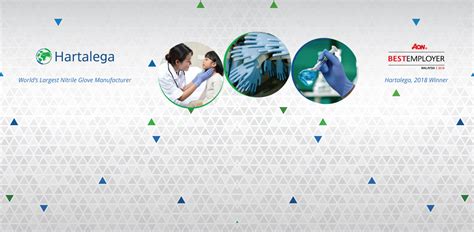 Ratings by 214 hartalega ngc sdn bhd employees. Hartalega Company Profile and Jobs | WOBB