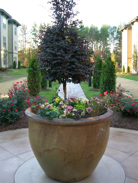 A Large Potted Planter Filled With Flowers On Top Of A Stone Patio Area
