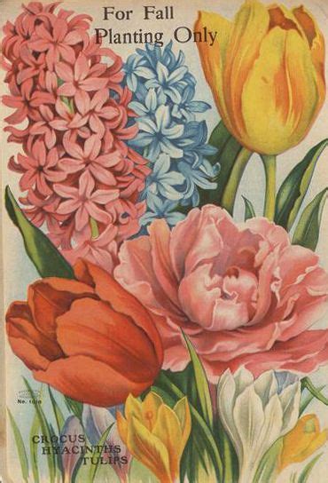 An Old Book With Flowers On It And The Title For Fall Planting Only