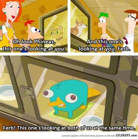 this scene is the soul reason for my perry obsession its just too damn cute old disney
