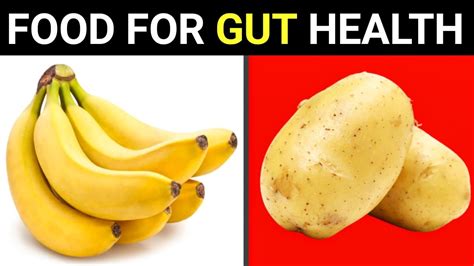 best and worst foods for gut health probiotic foods for gut health gut health youtube