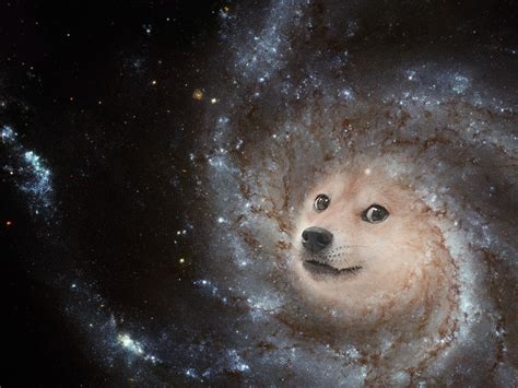 Doge Galaxy Doge Know Your Meme