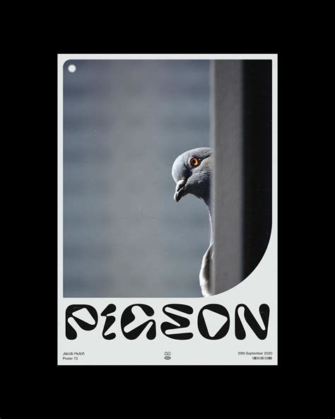 Pigeon Byhutch Poster Graphic Design Typography Design Graphic