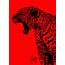 Black On Red Leopard By Keith QuintanillA DeviantArt