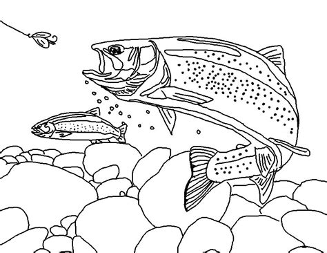 Rainbow Trout Coloring Pages