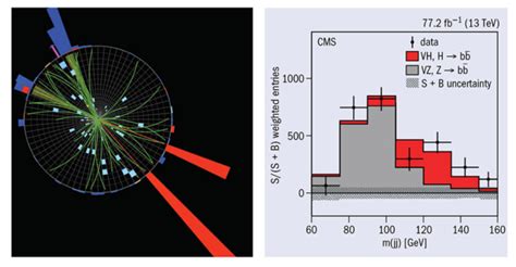 Observation Of Higgs Boson Decay To Bottom Quarks Cern Courier