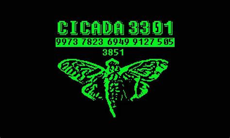 Cicada Wallpapers Wallpapers Com