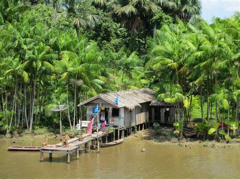 Amazonas Un Sitio Turístico La Amazonía Colombiana