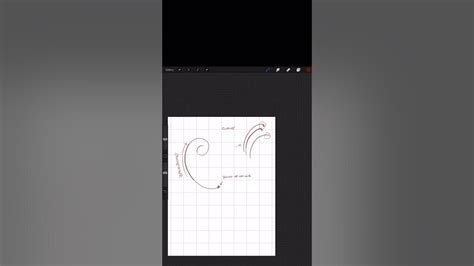 How To Draw Scrollwork And Filigree Tutorial Pt 1 Youtube