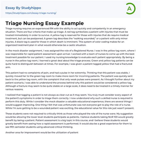 Triage Nursing Essay Example