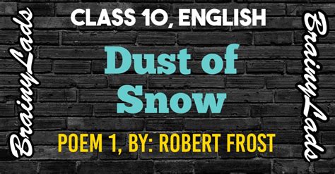 Dust Of Snow Robert Frost Poem 1 Class X English Cbse