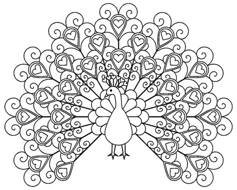 Free download coloring peacock coloring pages for adults on zentangle peacock coloring page vector tribal decorative peacock. Peacocks to color for children - Peacocks Kids Coloring Pages
