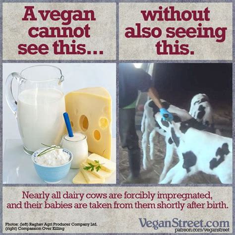 Eating Dairy Products Is Not Unethical Resources ~ Your Vegan Fallacy